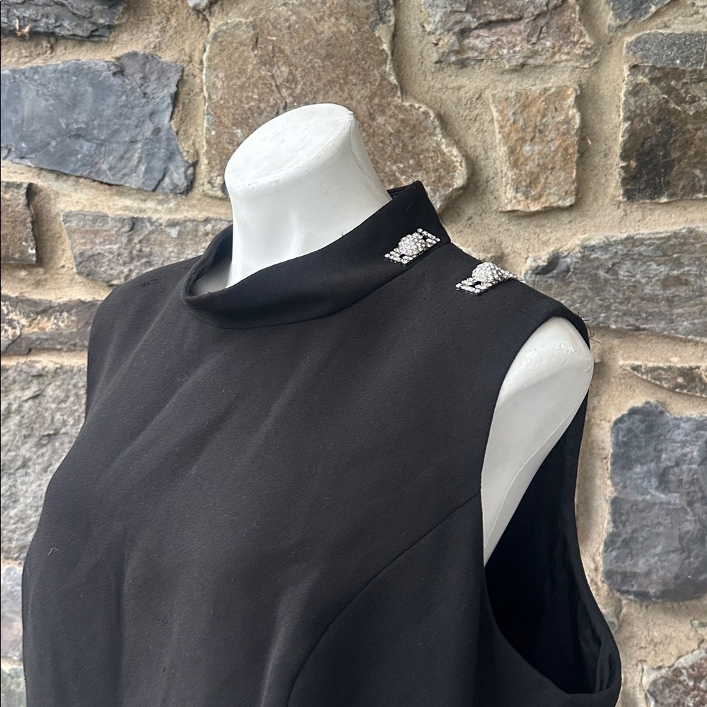 Rickie Freeman for Teri Jon Sleeveless Mock Neck Jeweled Dress in Black size 20W - Picture 4 of 7